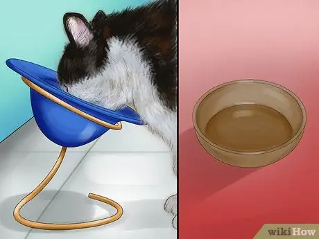 Выберите посуду для еды и воды для кошки Шаг 2