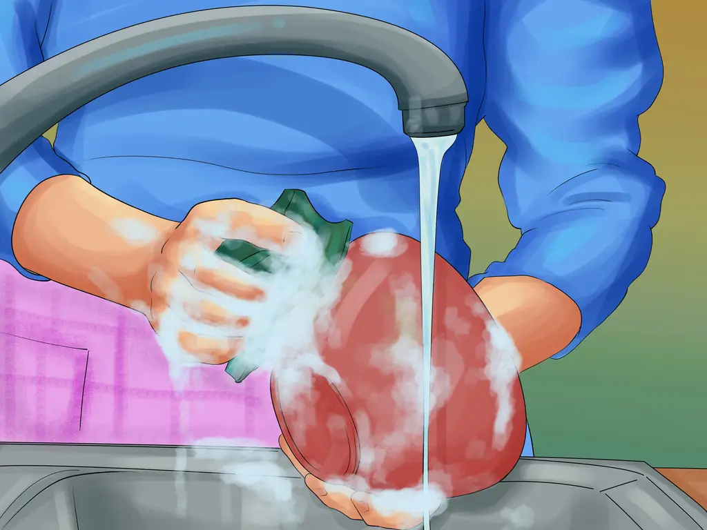 3 способа выбрать корм и воду для кошки