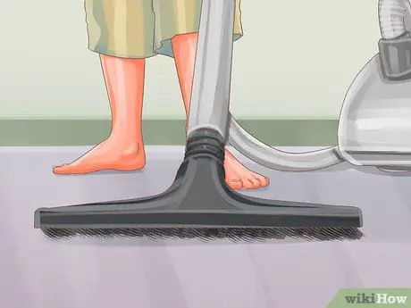 Диагностика сезонной аллергии у кошек Шаг 11