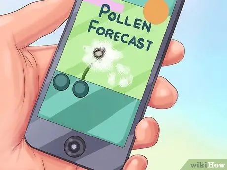 Диагностика сезонной аллергии у кошек Шаг 8