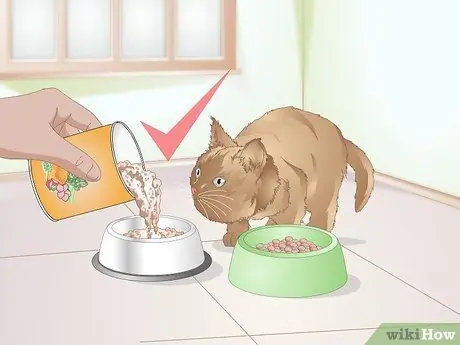 Выберите корм для котенка Шаг 11
