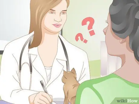 Выберите корм для котенка Шаг 3