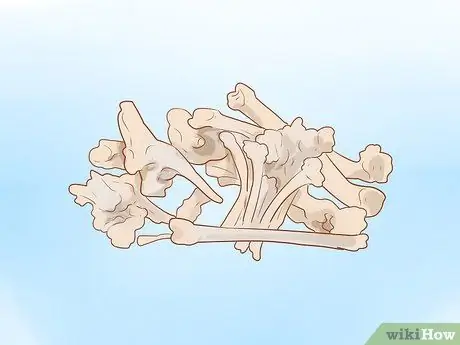 Шлифовка костей, шаг 5