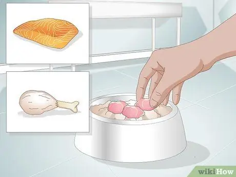 Посадите кошку на диету с ограниченным количеством ингредиентов Шаг 10