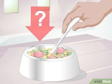 Посадите кошку на диету с ограниченным количеством ингредиентов Шаг 4