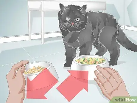 Посадите кошку на диету с ограниченным количеством ингредиентов Шаг 9