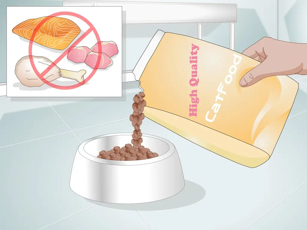 Как посадить кошку на диету с ограничением ингредиентов: 12 шагов