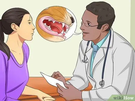 Выберите лакомства для кошек, шаг 2