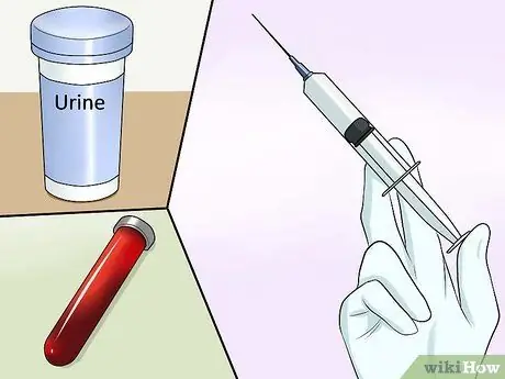 Определите, был ли у вашей кошки инсульт Шаг 14