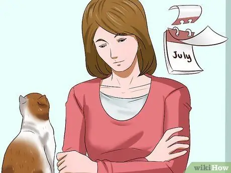 Определите, был ли у вашей кошки инсульт Шаг 20