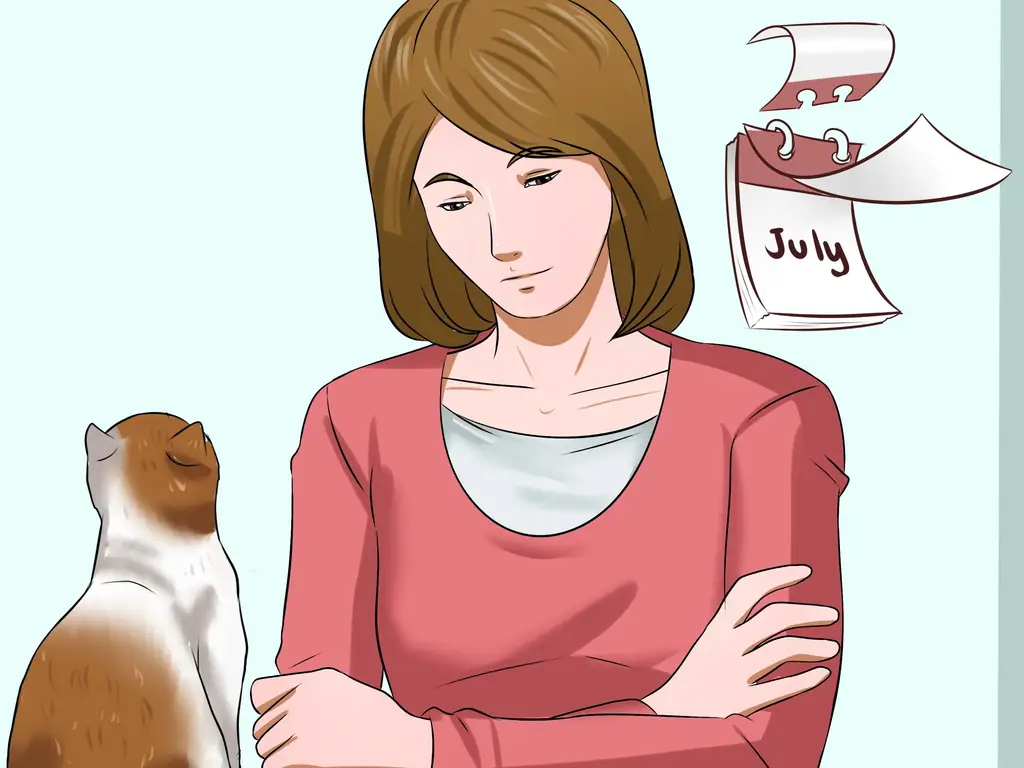 Как определить, был ли у вашей кошки инсульт (с фотографиями)