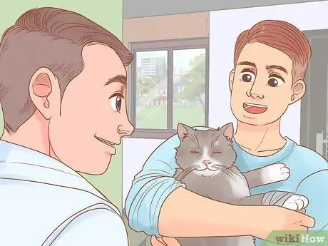 Лечить боевые раны на кошке Шаг 8