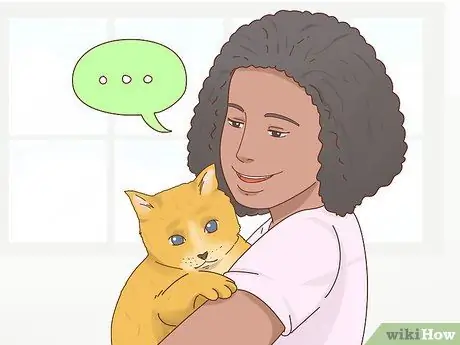 Позаботьтесь о слепой кошке Шаг 6