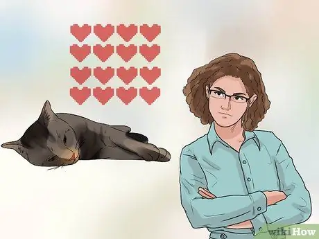 Лечить рак у кошек Шаг 1