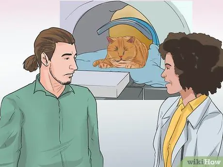 Лечить рак кошек Шаг 9