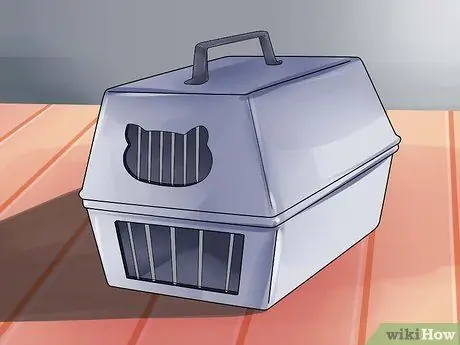 Подготовьте кошку к операции Шаг 6