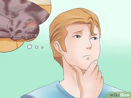 Как распознать анемию у кошек Шаг 12