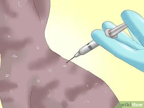 Распознать анемию у кошек Шаг 7