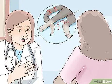 Разобраться с парализованной кошкой Шаг 14