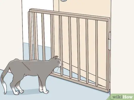 Разобраться с парализованной кошкой Шаг 6