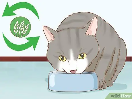 Диагностика и лечение грыжи у кошек Шаг 11