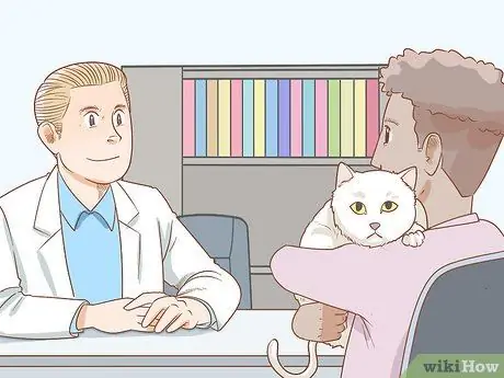 Диагностика и лечение грыжи у кошек Шаг 14