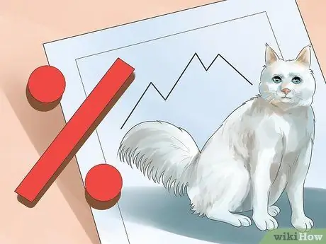 Как определить, глух ли ваш кот Шаг 11