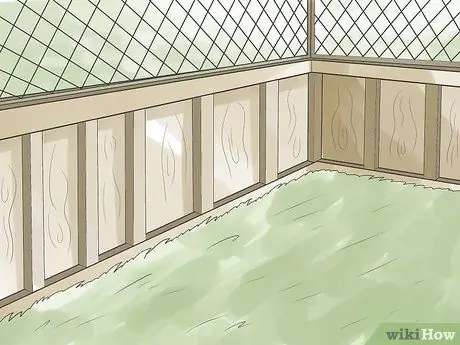 Как определить, глух ли ваш кот Шаг 7