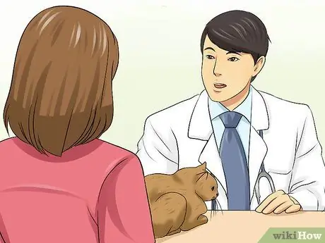 Диагностика лимфосаркомы кошек Шаг 7