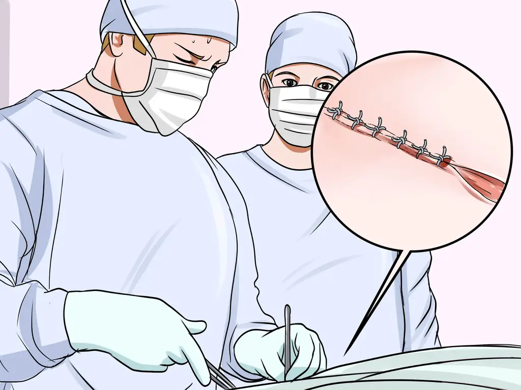 Как диагностировать лимфосаркому кошек: 10 шагов (с изображениями)