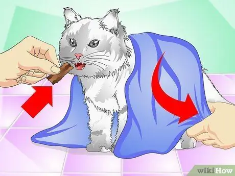 Give Жидкое лекарство для кошек Шаг 11