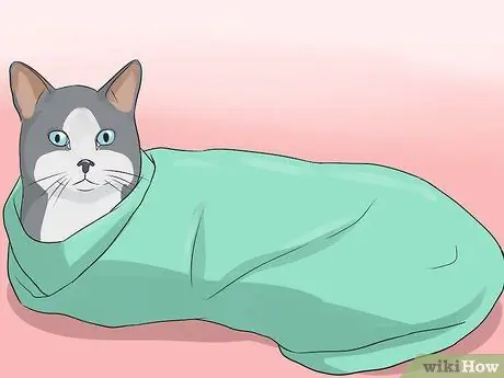 Дайте вашей кошке капли для носа, шаг 11