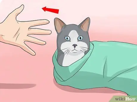 Дайте вашей кошке капли для носа, шаг 17