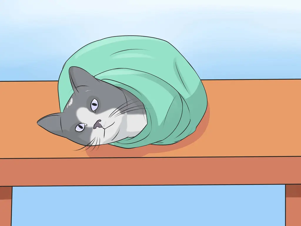 Как давать кошке капли для носа (с иллюстрациями)