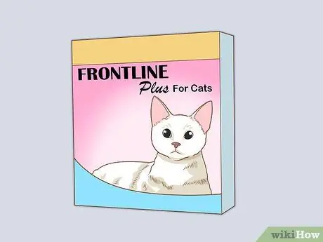 Диагностика и лечение язвы грызунов у кошек Шаг 10