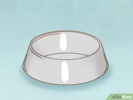 Диагностика и лечение язв грызунов у кошек Шаг 12