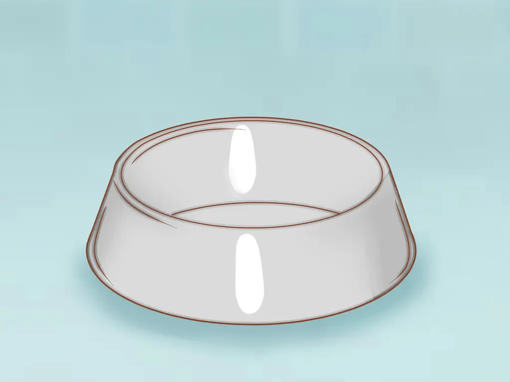 Как диагностировать и лечить язвы грызунов у кошек: 12 шагов