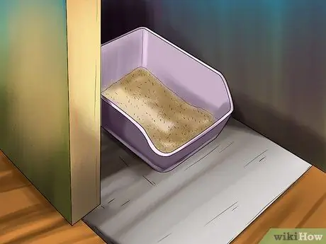 Лечить проблемы со зрением у пожилых кошек Шаг 7