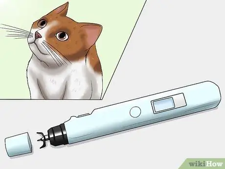 Диагностика глаукомы кошек Шаг 6