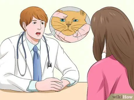 Лечить катаракту у кошек Шаг 6