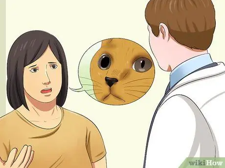 Лечить заболевание сетчатки у кошек Шаг 5