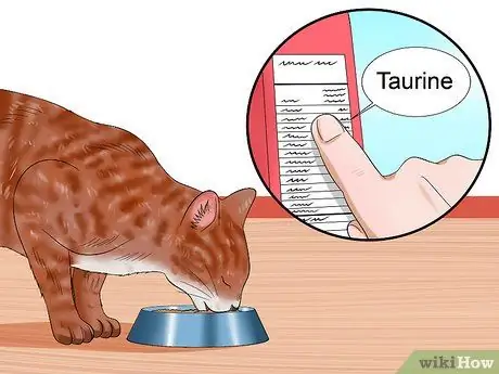 Лечить заболевание сетчатки у кошек Шаг 8