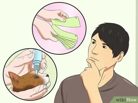 Лечить конъюнктивит у кошек Шаг 6