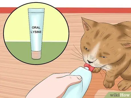 Лечить конъюнктивит у кошек Шаг 8