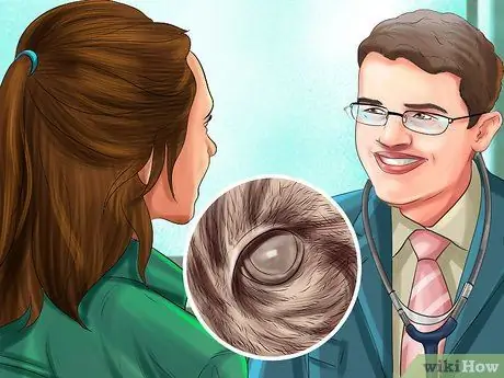 Диагностика и лечение выпуклого глаза у кошек Шаг 10