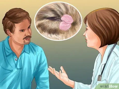 Диагностика и лечение выпуклого глаза у кошек Шаг 12