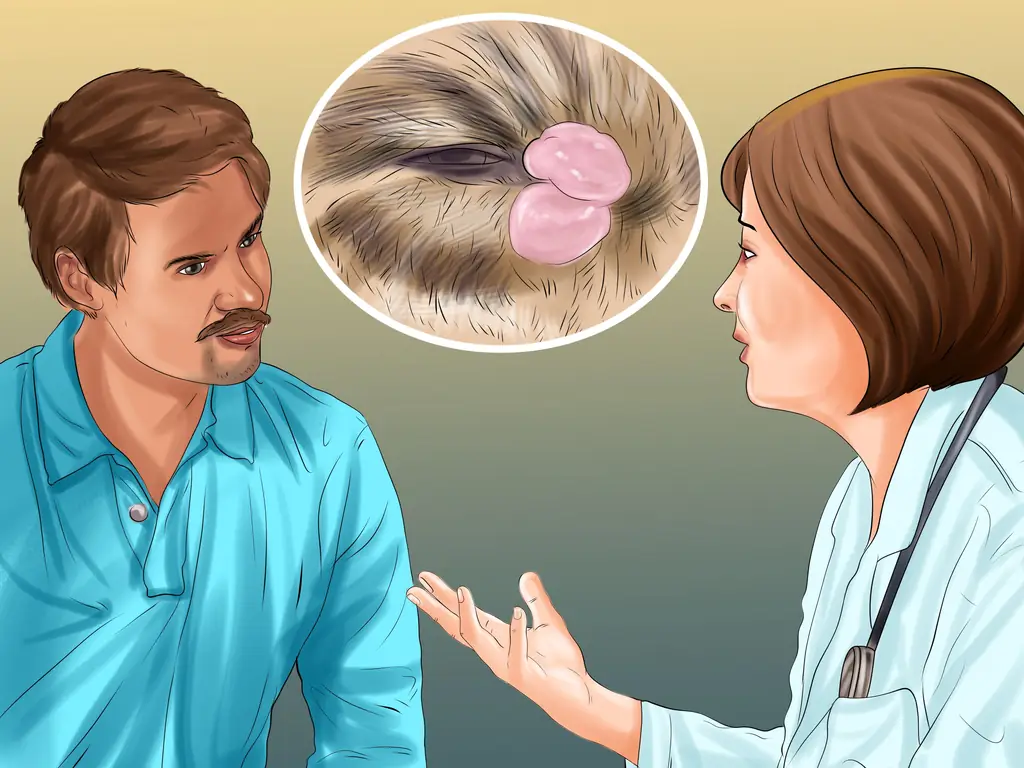 3 способа диагностики и лечения выпуклого глаза у кошек