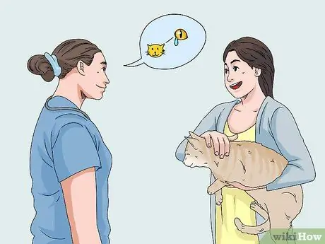 Устранение слезотечения у кошек Шаг 2