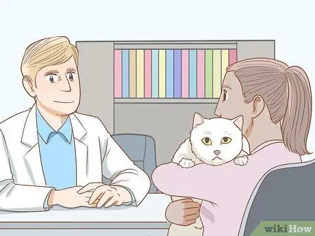 Лечить кошку анизокорией Шаг 4