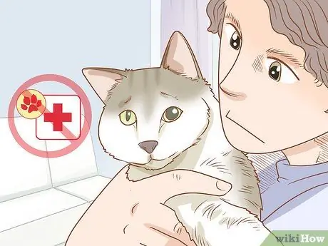 Лечить кошку анизокорией Шаг 7